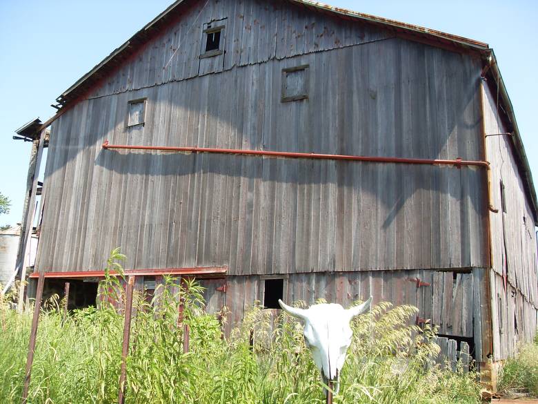 Shafer Barn Exterior